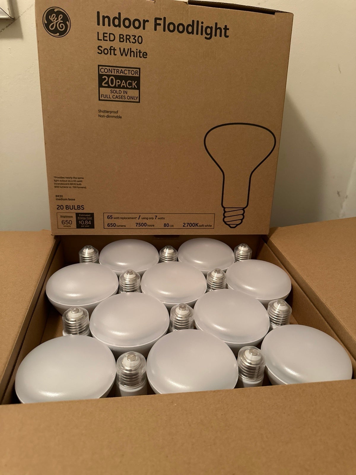 GE Indoor Flood Lights