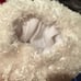 Rainbow Brite costume toddler SPRITE 4-6