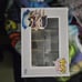 Funko Pop Whitebeard with Moby Dick