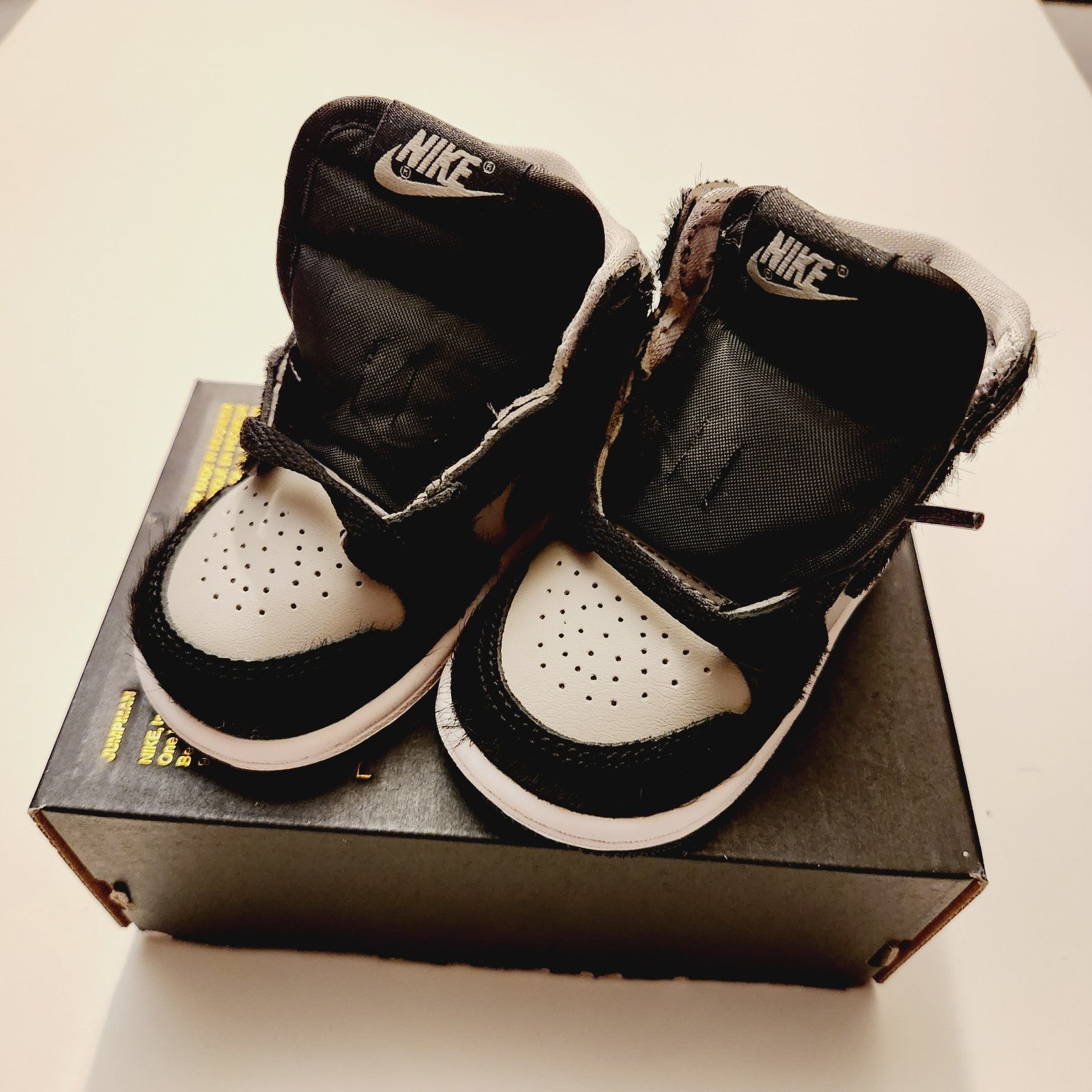 Jordan 1 Retro High OG (TD)