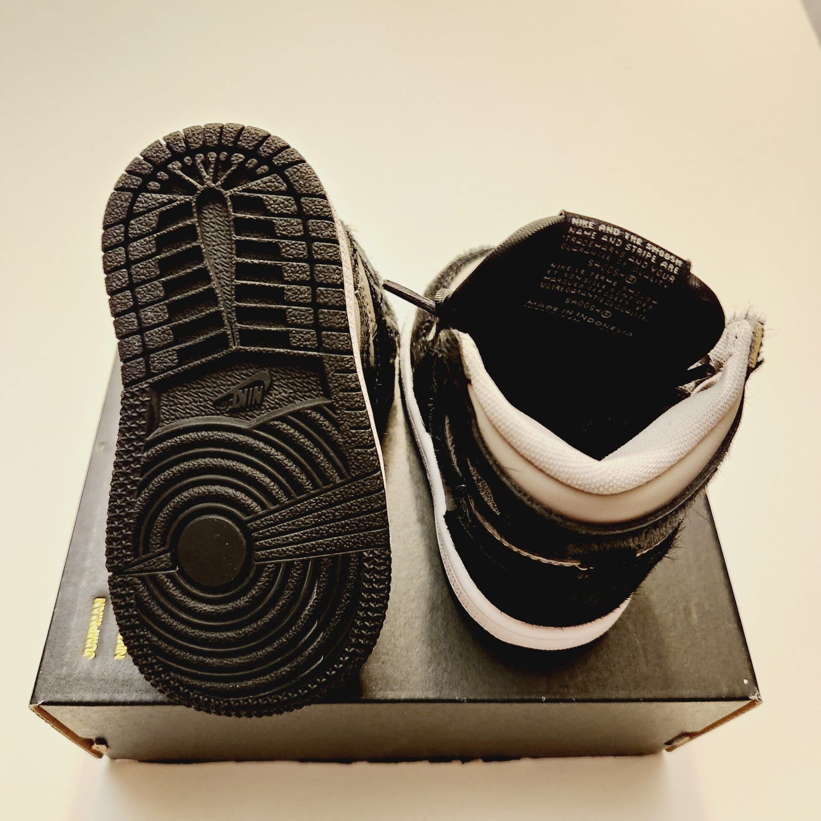 Jordan 1 Retro High OG (TD)