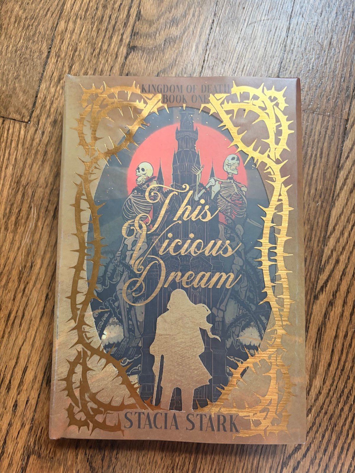 HAND SIGNEd with Quote This Vicious Dream by Stacia Stark SE Special Edition