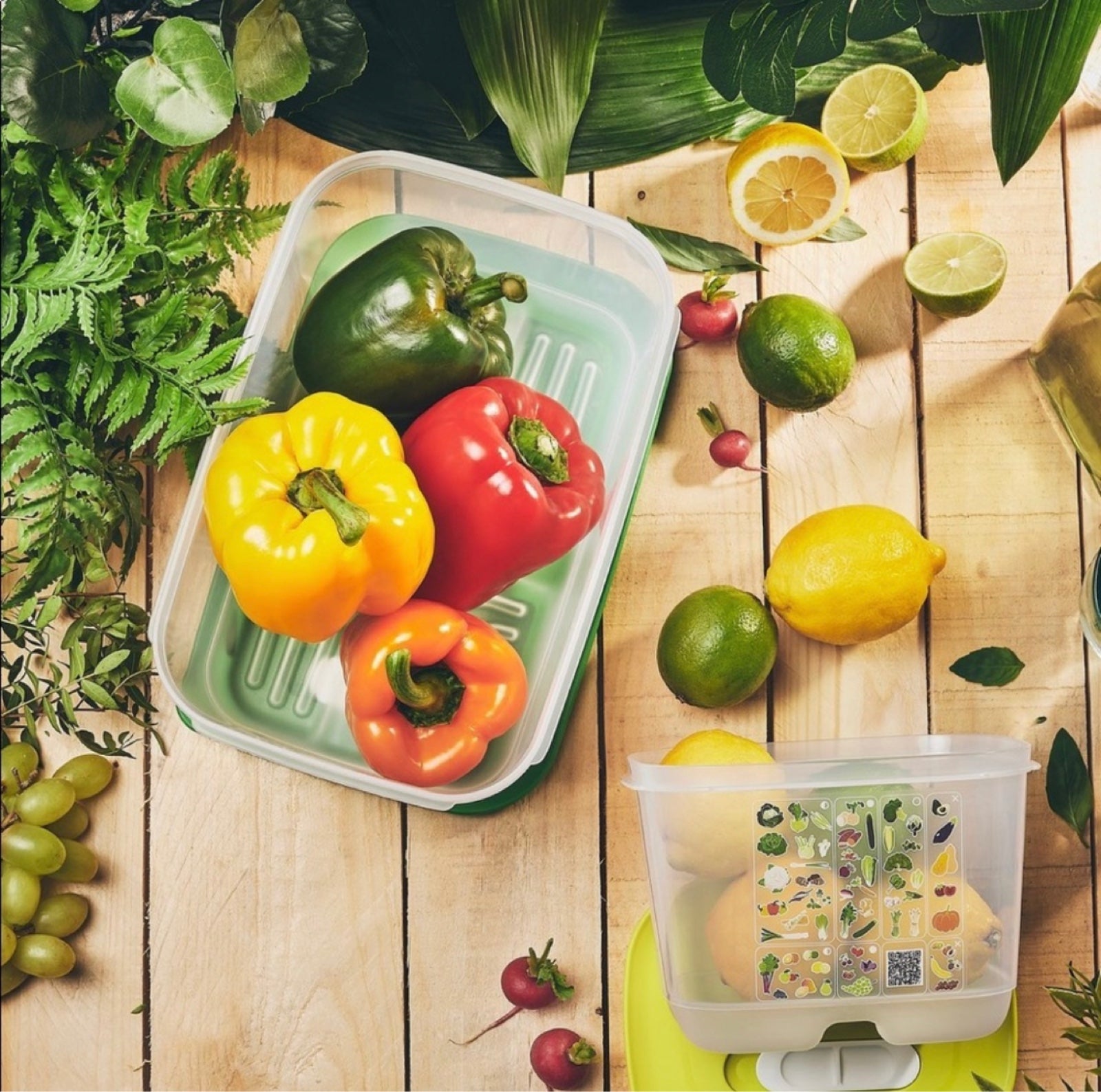 Tupperware FridgeSmart 4-Pc. Set