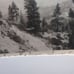 William M. McCarthy Photograph Collectio