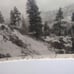 William M. McCarthy Photograph Collectio