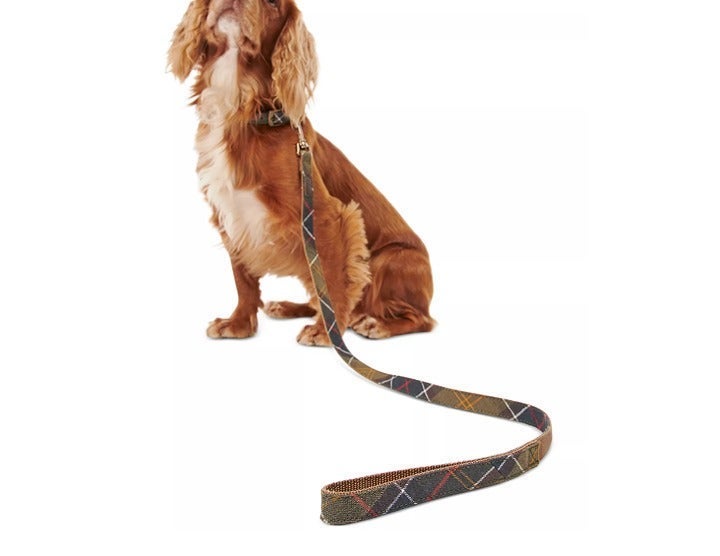 Barbour Tartan Plaid Webbing Dog Lead MSRP50 Practical & Stylish Great Gift
