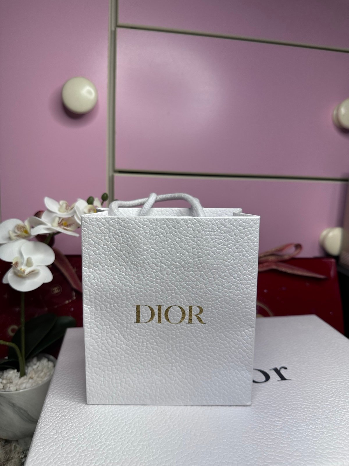Dior Little Shopping Bag