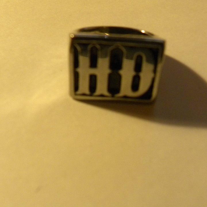 STAINLESS STEEL BIKER RING (SIZE 13)