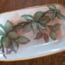 Olive Branch 1915 Olive Dish Hand Painted Bowl Gold Gild Dish Italian Kitchen