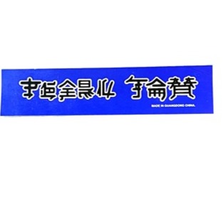RARE MINT Vintage Pearl Jam Chinese Letters Sticker Blue