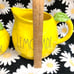 Rae Dunn Lemonade Pitcher and Cookie Canister