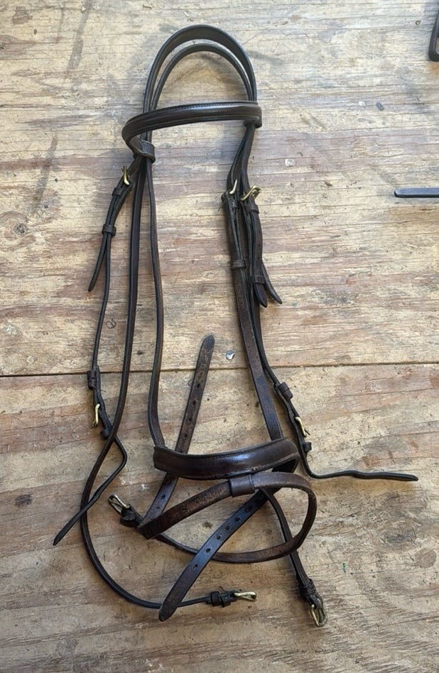 Full sized brown flash bridle