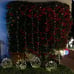 300 LED Curtain Lights Wedding Backdrop Party Decór