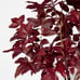 Studio McGee Potted Fall Leaf Arrangement in Vase Burgundy