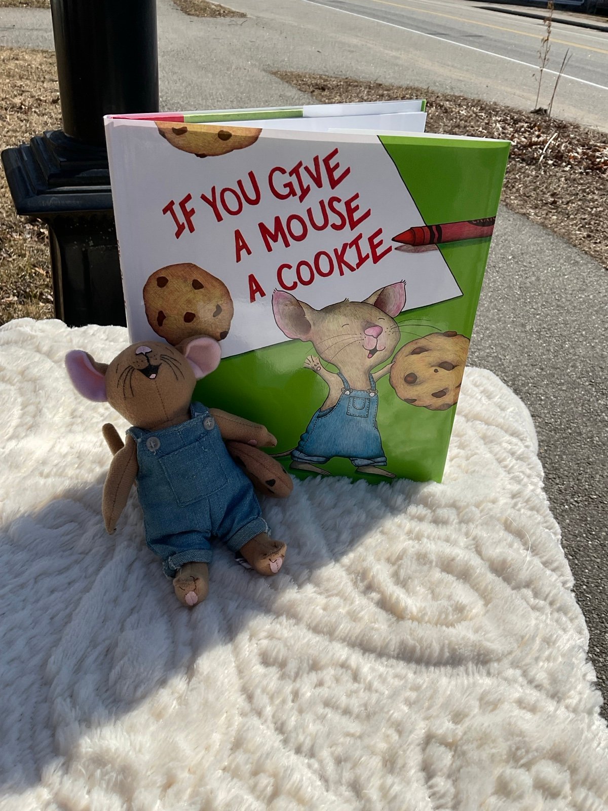 If You Give a Mouse a Cookie Book and Doll