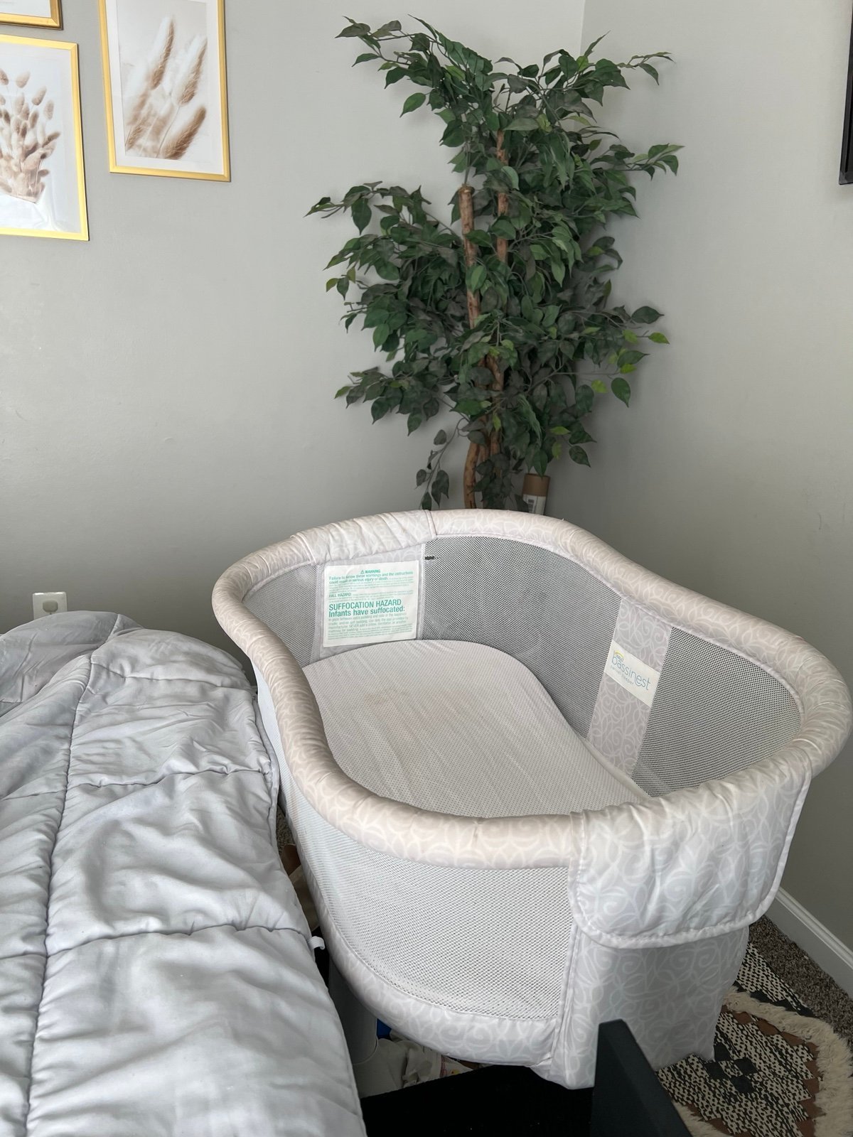 Halo bassinet 123 (Price includes shipping 40)