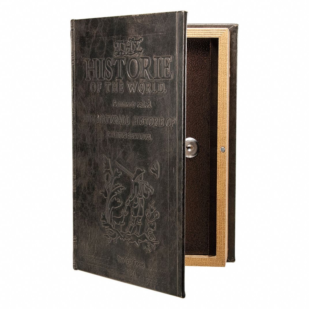 SafeKeeping Bookcase Safe