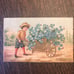 Rare Stamp