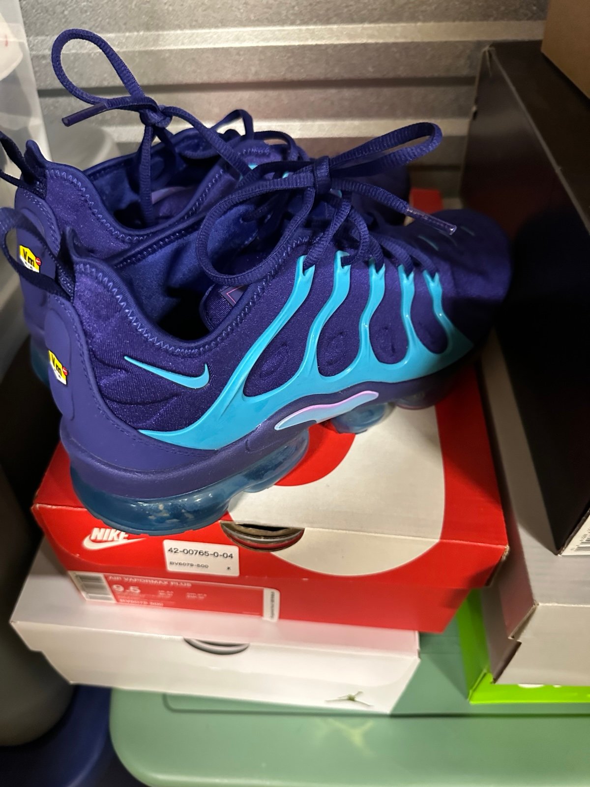 Nike Air Vapor Max Plus Hornets
