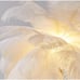 Girl's bedroom bedside lamp, coconut tree ostrich hair wedding room