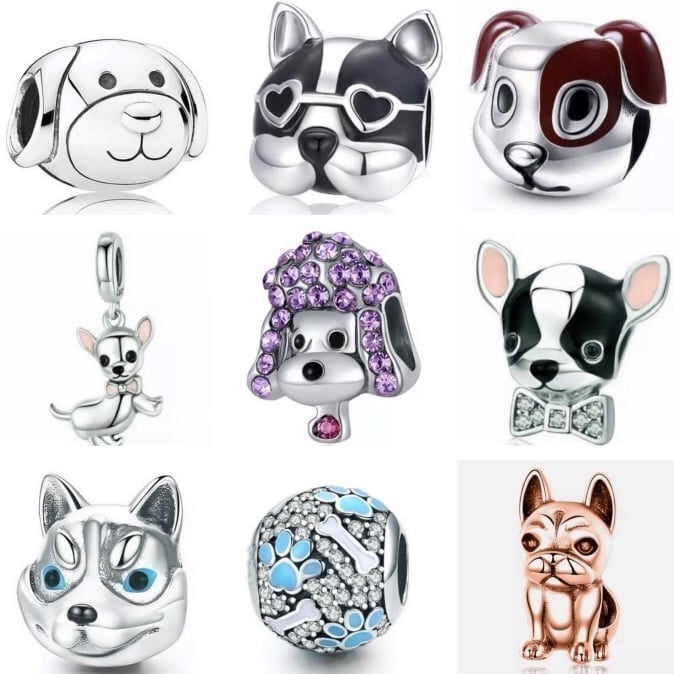 9 Charms Friendly Dog, Bull Terrier, Boston Terrier, Poodle, Chihuahua, Husky
