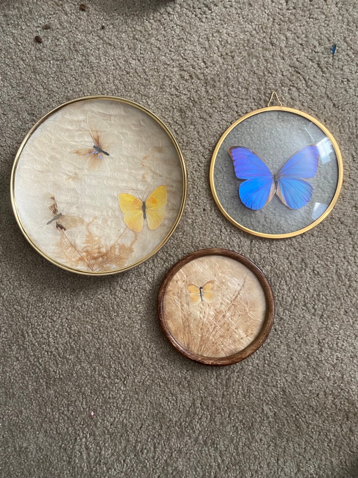 3 plates