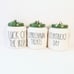 Rae Dunn St. Patricks Day Canister Set