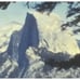 1960s Yosemite Santa Barbara Beach Boat Yacht Cars 8mm Home Movie Film Reel CA