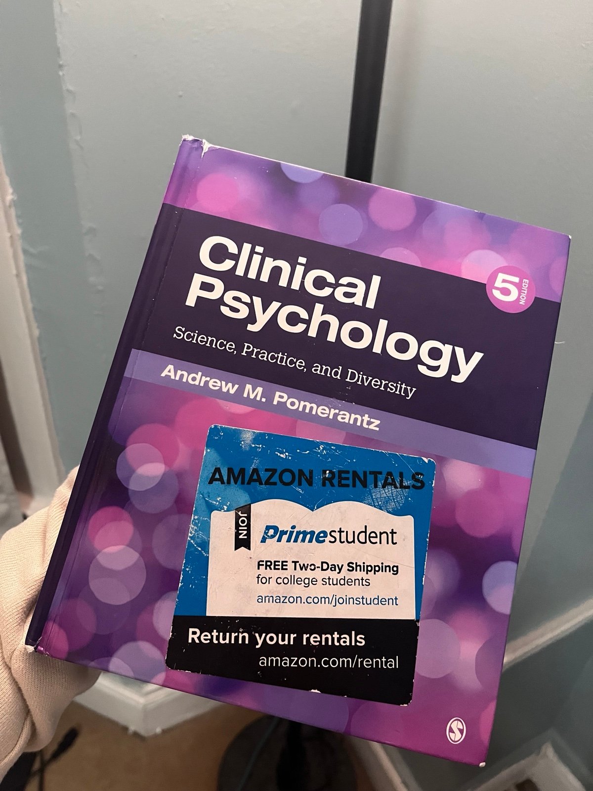 Clinical Psychology by Andrew M Pomerantz