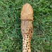 Handmade Walking stick