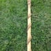 Handmade Walking stick