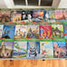 Magic Treehouse Box Collection Book 20 Lot