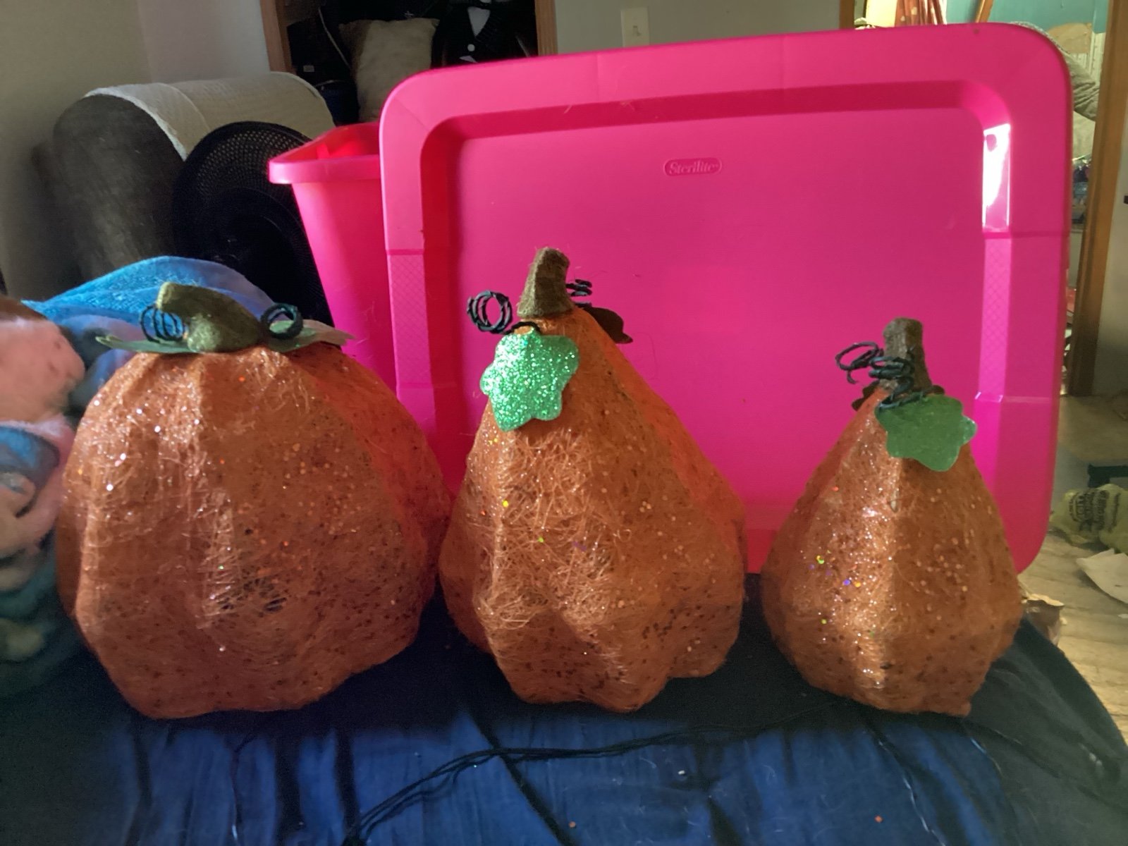 Pumpkin Trio