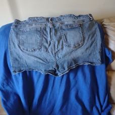torrid jean shorts size 22