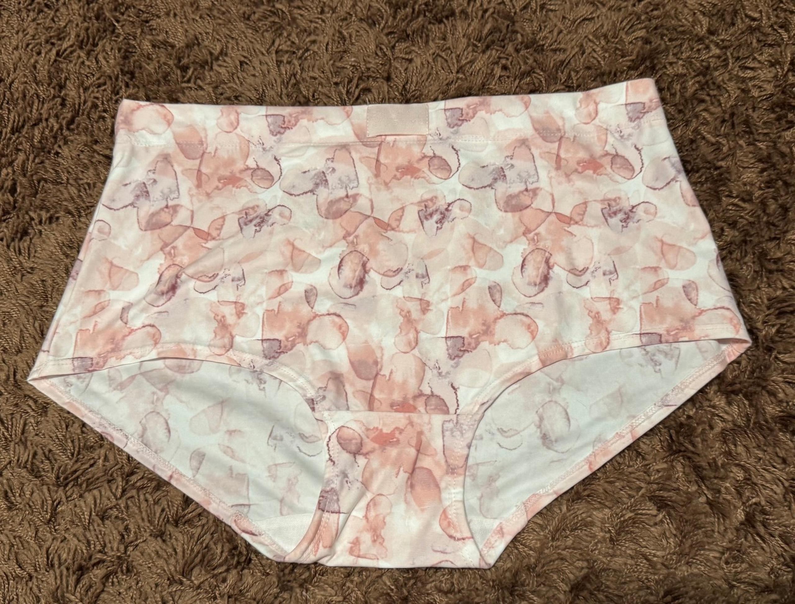 Danskin Intimates Women’s High Waisted Briefs - Size: 1X NWOT | Style: 9653-49