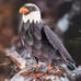 Garden Sculptures & Statues, Standing Metal Bald Eagle Yard Art Statue