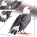 Garden Sculptures & Statues, Standing Metal Bald Eagle Yard Art Statue