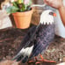 Garden Sculptures & Statues, Standing Metal Bald Eagle Yard Art Statue