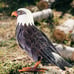Garden Sculptures & Statues, Standing Metal Bald Eagle Yard Art Statue
