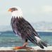 Garden Sculptures & Statues, Standing Metal Bald Eagle Yard Art Statue