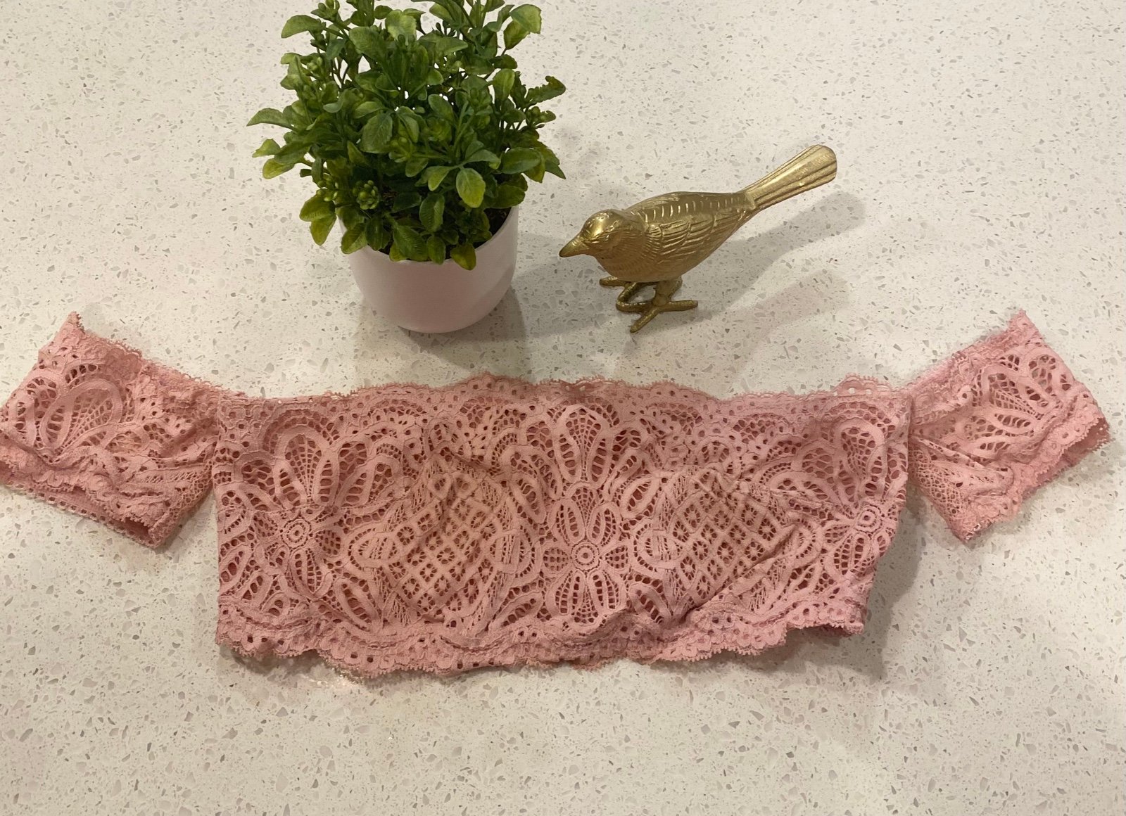 Victoria’s Secret Dream Angels light dusty rose lace bandeau with cap sleev