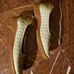 Sesto Golf By Sherry Shoes