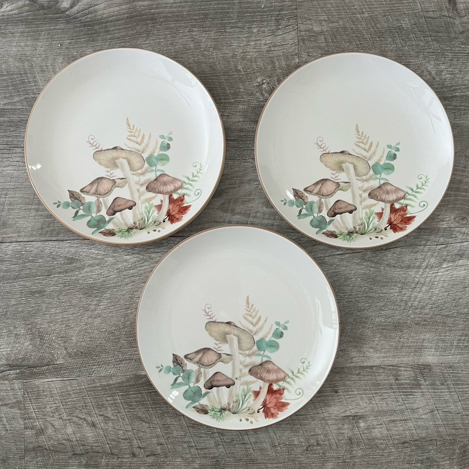 Hobby Lobby Robert Stanley Fall Mushroom Forest Plates Set of 3