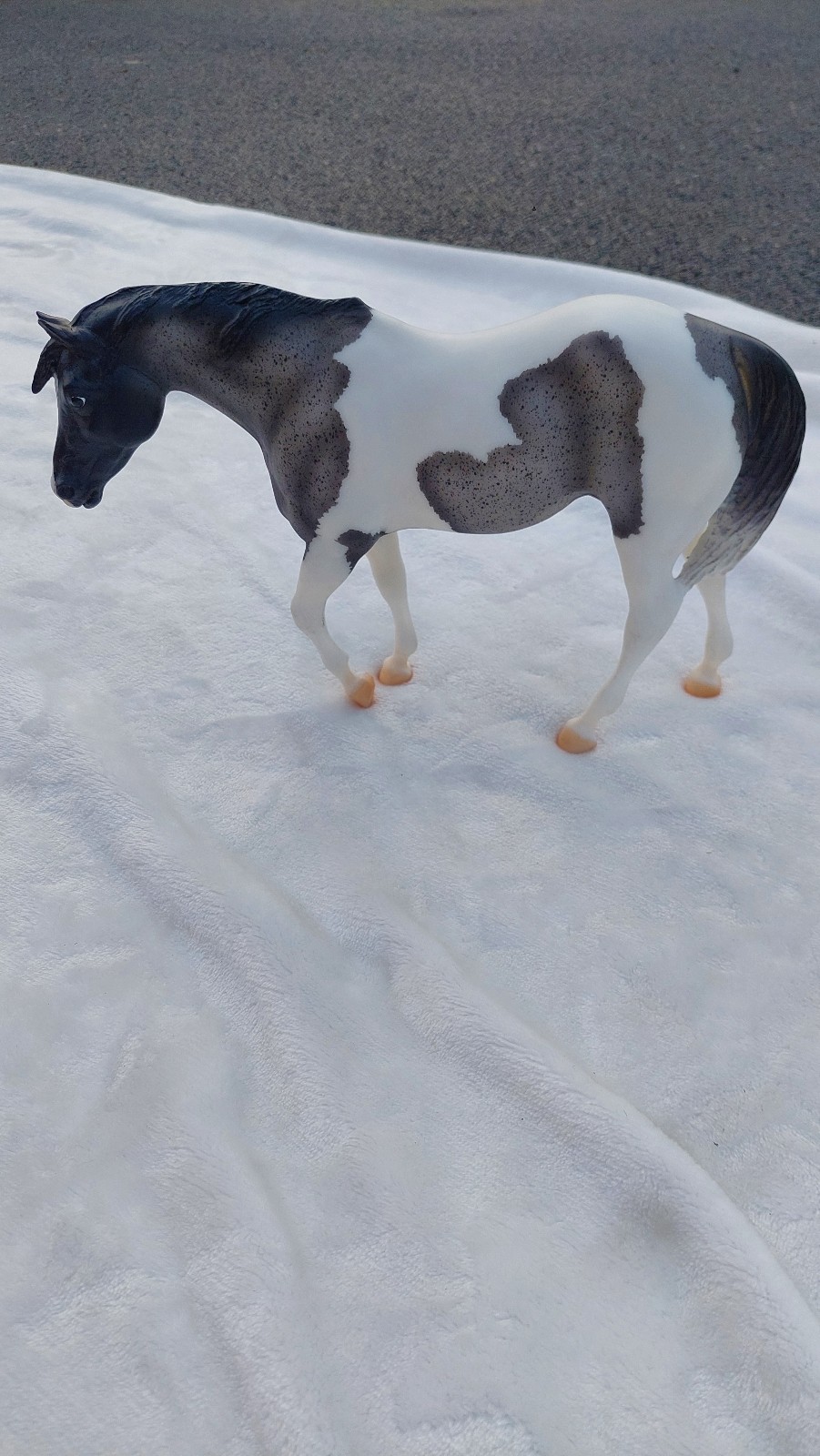 Shasta Moon BREYER