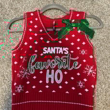 santas favorite crop sweater