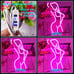 Lady Neon Signs Dimmable Lady LED Neon Signs 15.7X8.9 inches,Pink