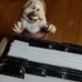 Disney Snow White Seven Dwarfs Happy Address Card Holder Rolodex Desk Accessory