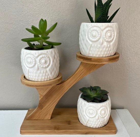 3pcs Owl Succulent Pots With 3 Tier Bamboo Saucers Stand Holder, White - NEW