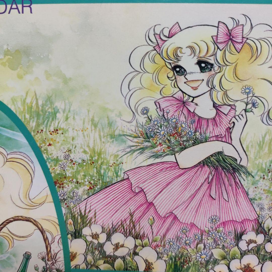 Candy 1999 Calendar 1000 Piece Jigsaw Puzzle