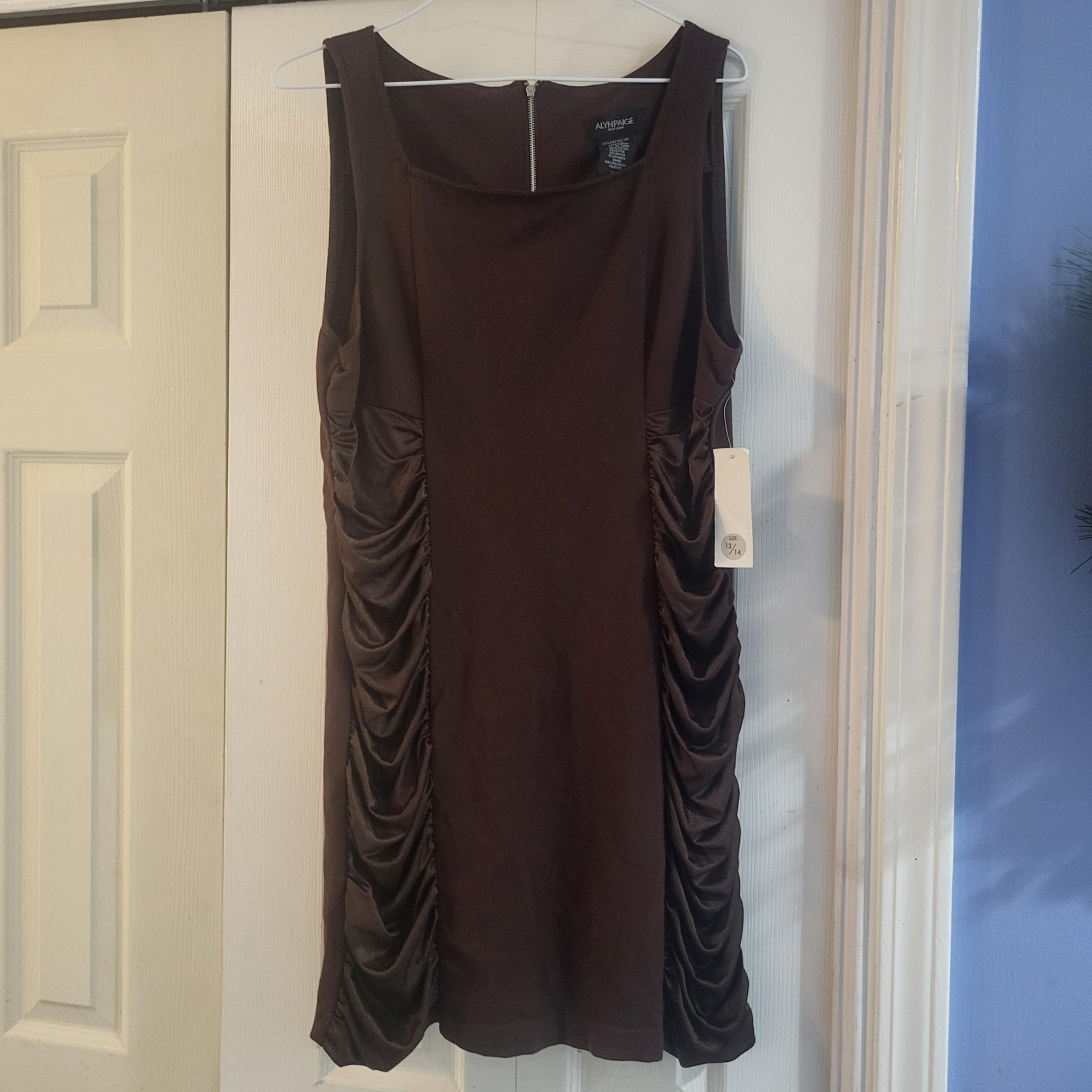 Alyn paige new york dress size 13/14